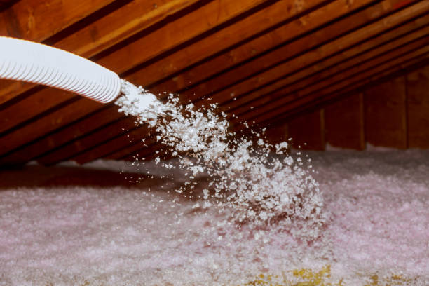 Best Eco-Friendly Insulation in Thunder Mountain, NM