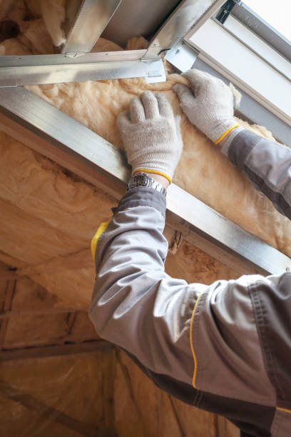 Best Commercial Insulation in Thunder Mountain, NM